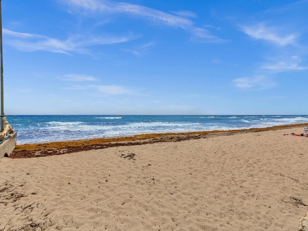 The Shell On Walnut Studio With Bath Hollywood Beach Free Parking 戴尼亚 外观 照片