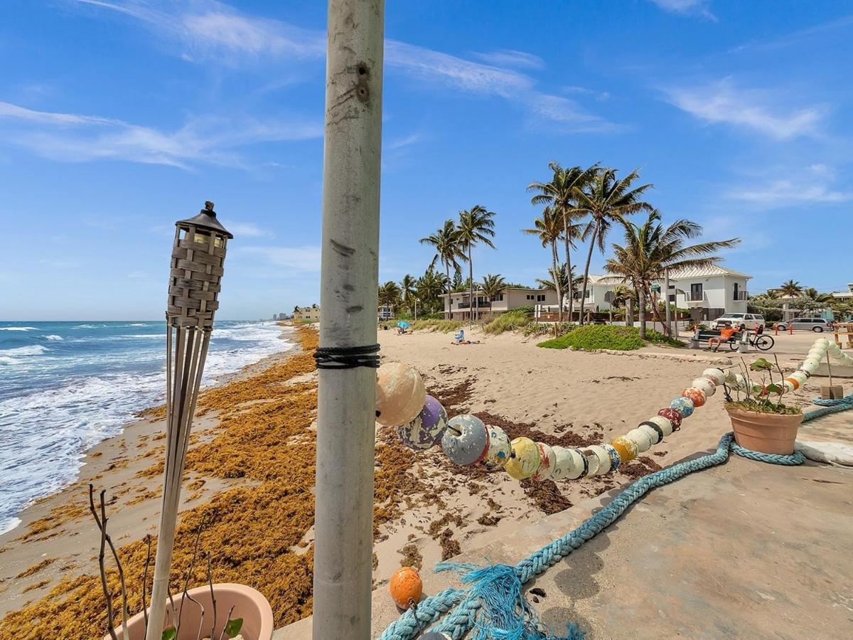 The Shell On Walnut Studio With Bath Hollywood Beach Free Parking 戴尼亚 外观 照片